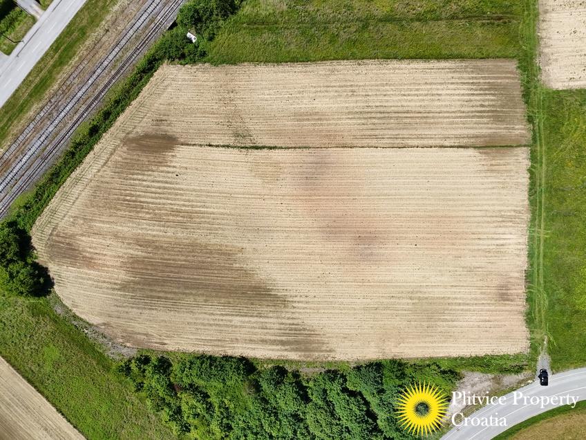 dji_fly_20250531_124530_0570_1748697534530_photo