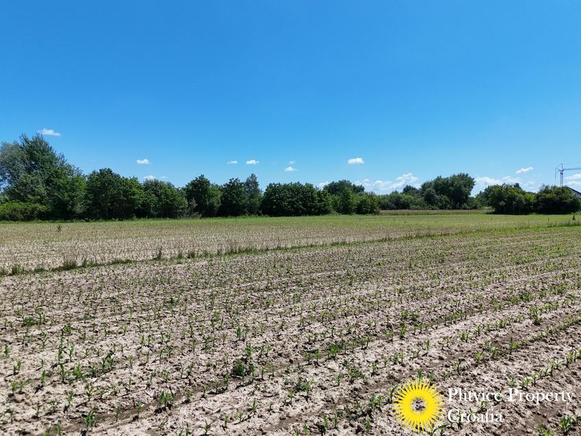 dji_fly_20250531_124736_0575_1748697532291_photo