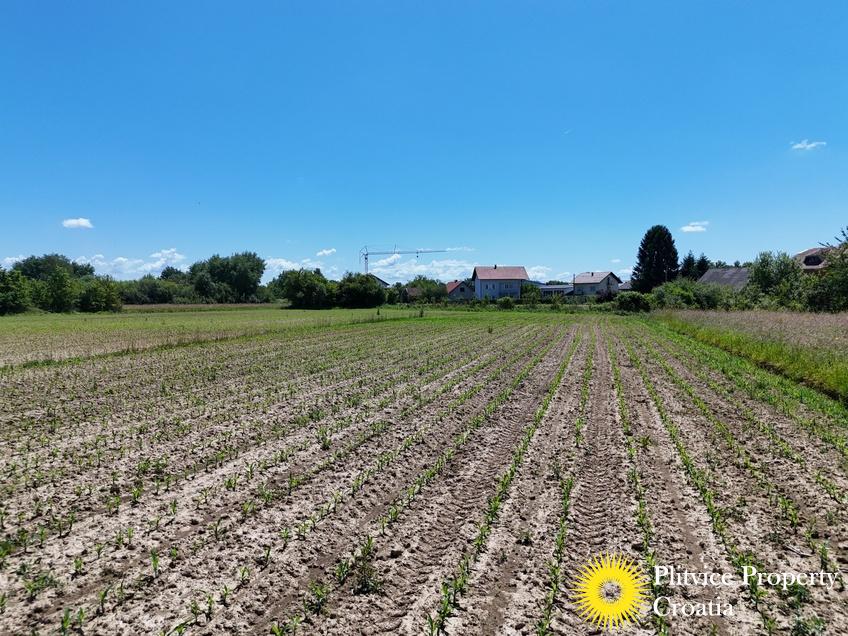 dji_fly_20250531_124740_0576_1748697531855_photo