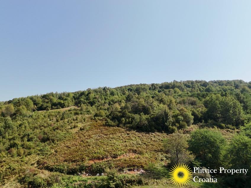 dji_fly_20240830_105202_0806_1725258379946_fotka