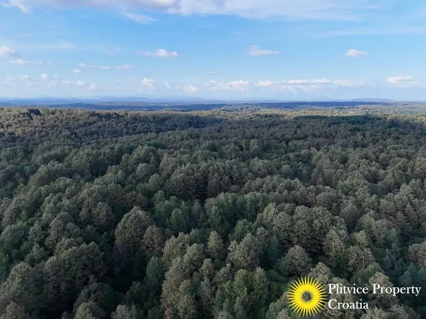 dji_fly_20240918_165942_0942_1726679247721_photo