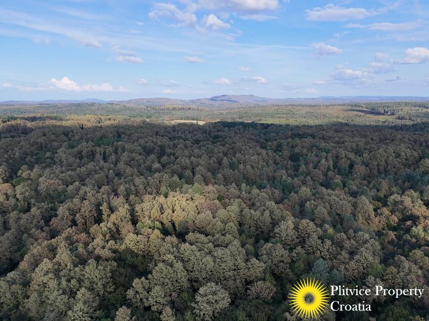 dji_fly_20240918_165952_0943_1726679247330_photo