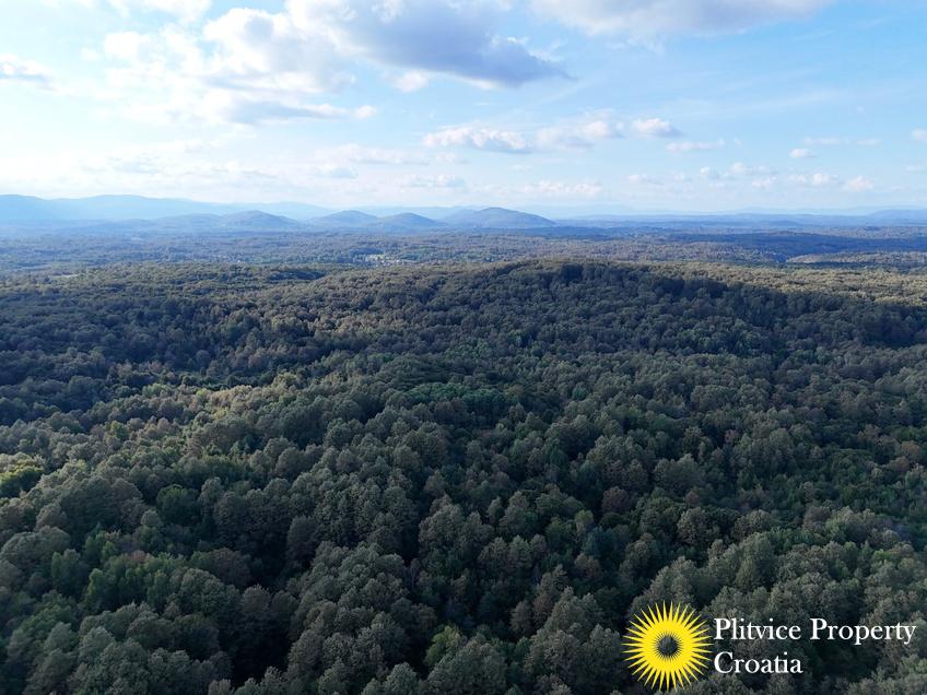 dji_fly_20240918_170034_0944_1726679246833_photo