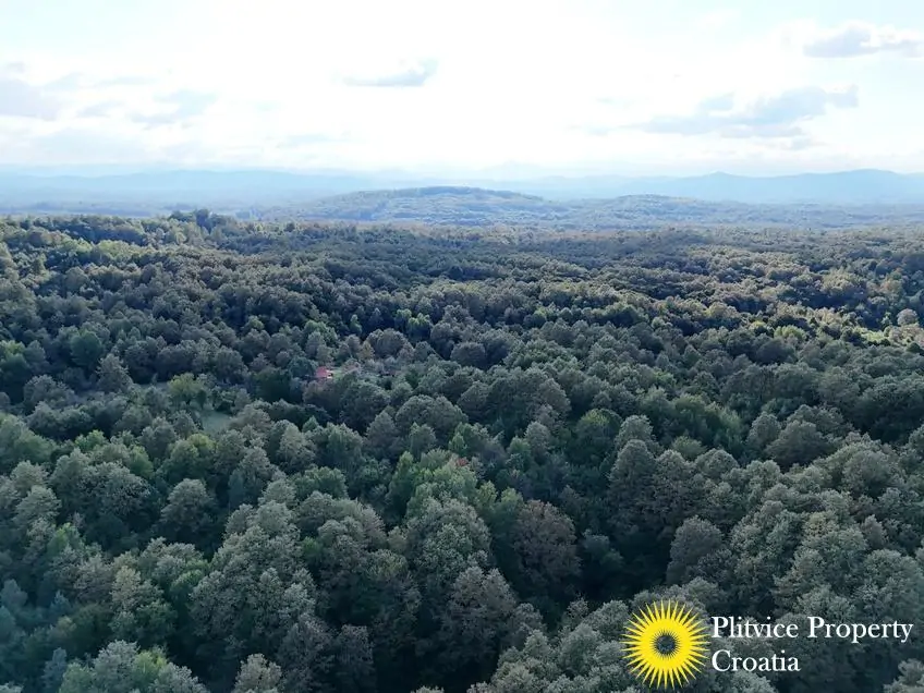 dji_fly_20240918_170058_0947_1726679245475_photo