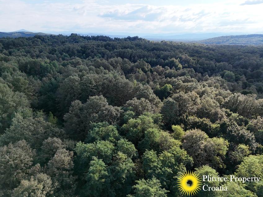 dji_fly_20240918_170216_0951_1726679243271_photo