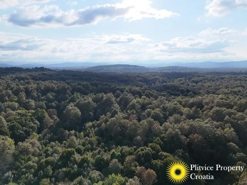 dji_fly_20240918_170322_0952_1726679242671_photo