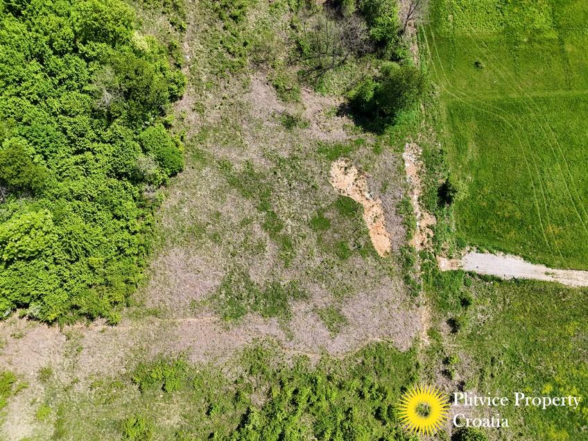 dji_fly_20250502_142850_0013_1746448072104_photo