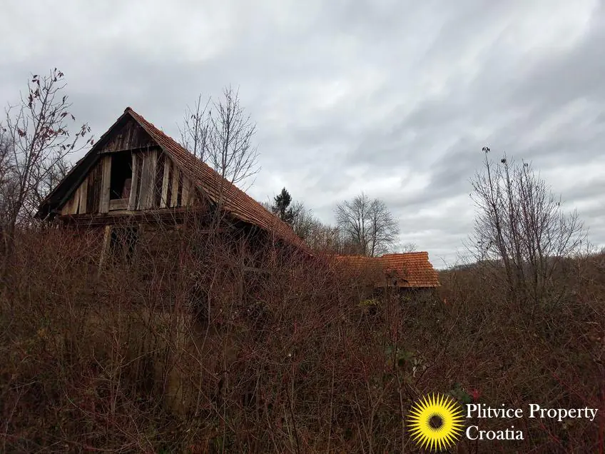 Flow_IMG_20231212_101454_01_406