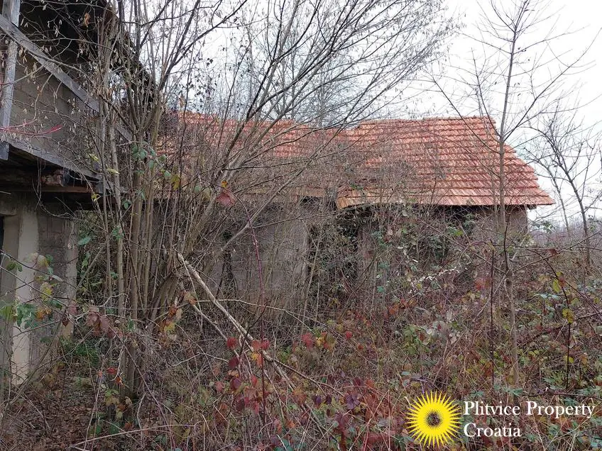 Flow_IMG_20231212_101755_01_409