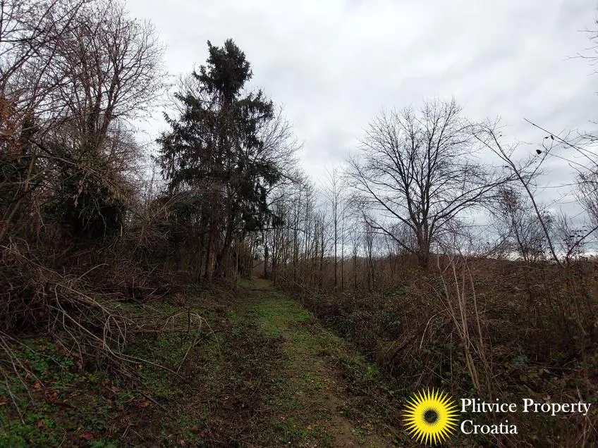 Flow_IMG_20231212_102312_01_418