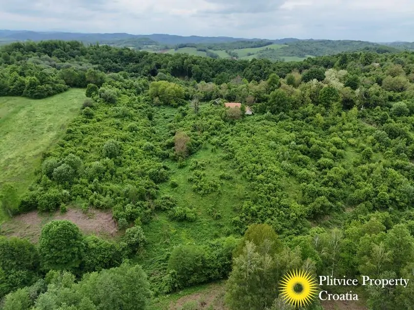 dji_fly_20250507_151504_0114_1746690123602_photo