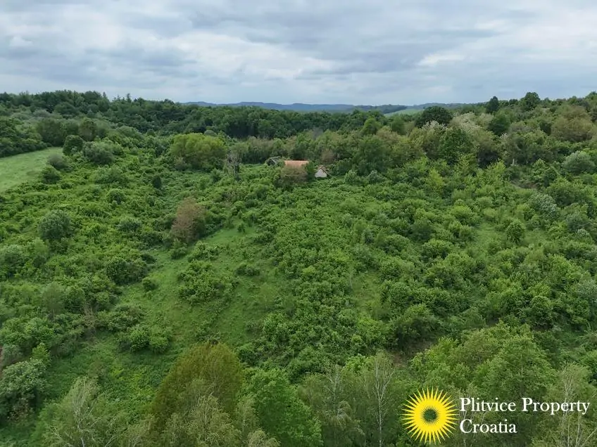 dji_fly_20250507_151528_0115_1746690123151_photo