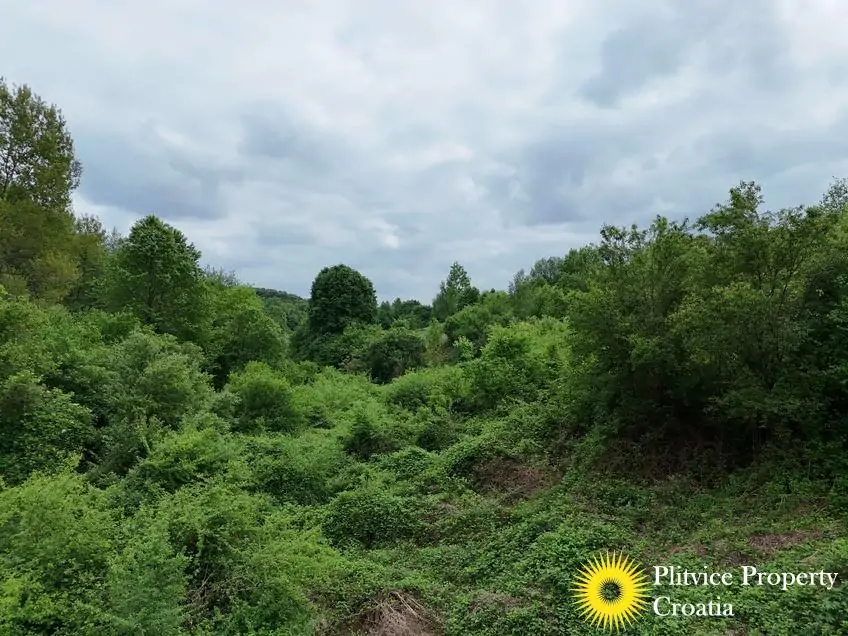 dji_fly_20250507_151622_0117_1746690122227_photo