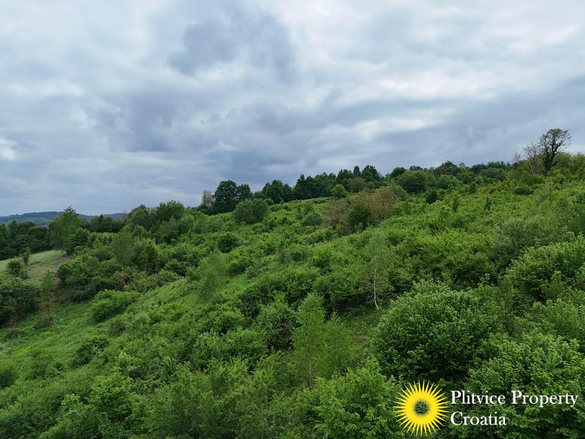 dji_fly_20250507_151630_0118_1746690121834_photo