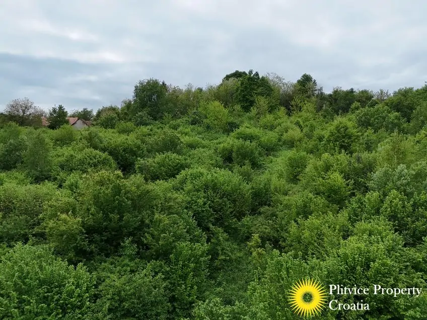 dji_fly_20250507_151634_0119_1746690121361_photo