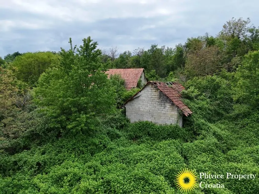 dji_fly_20250507_151652_0120_1746690120836_photo