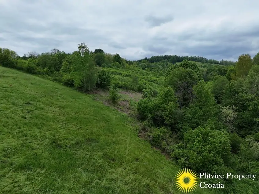 dji_fly_20250507_151828_0125_1746690118099_photo