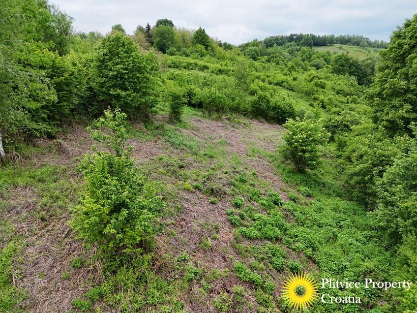 dji_fly_20250507_151842_0126_1746690117678_photo