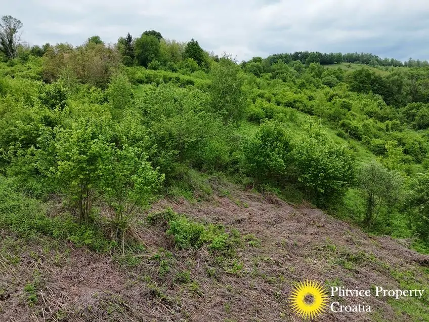 dji_fly_20250507_151850_0127_1746690117036_photo