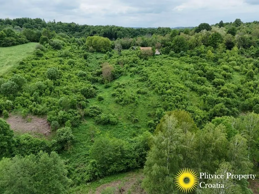 dji_fly_20250507_151926_0128_1746690116464_photo