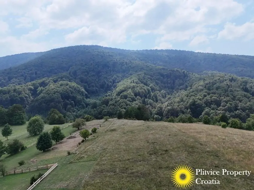 dji_fly_20250811_143002_0995_1754988494107_fotka