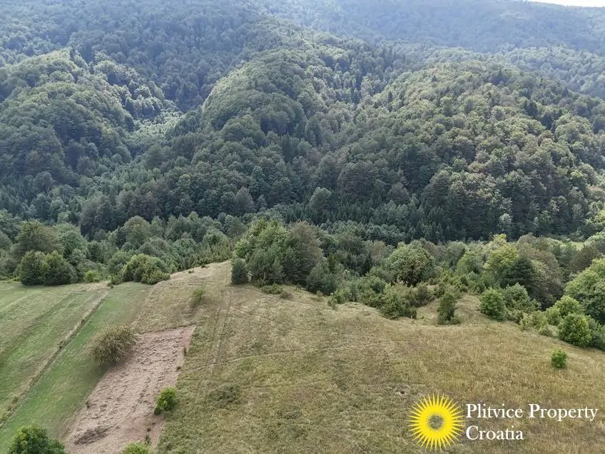 dji_fly_20250811_143020_0996_1754988493895_fotka