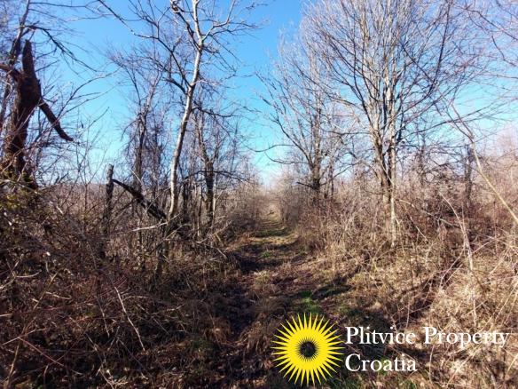 Property in Rakovica