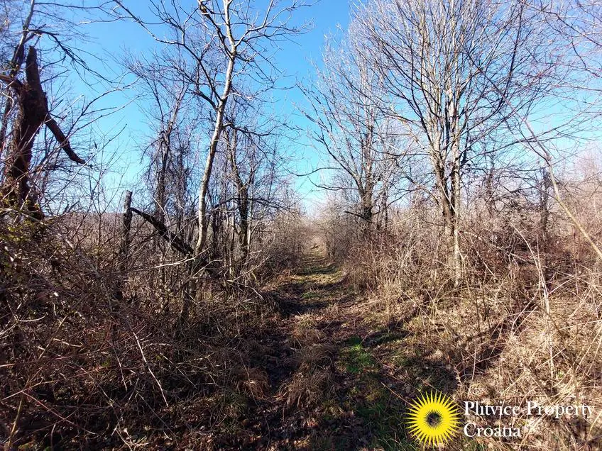 Property in Rakovica Property in Rakovica