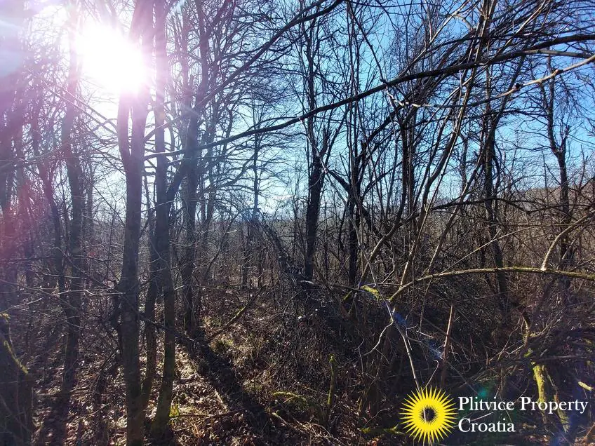 Flow_IMG_20240220_102151_01_885