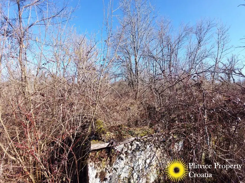 Flow_IMG_20240220_102718_01_887