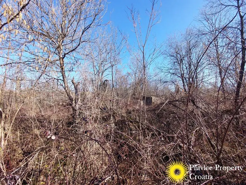 Flow_IMG_20240220_102742_01_888