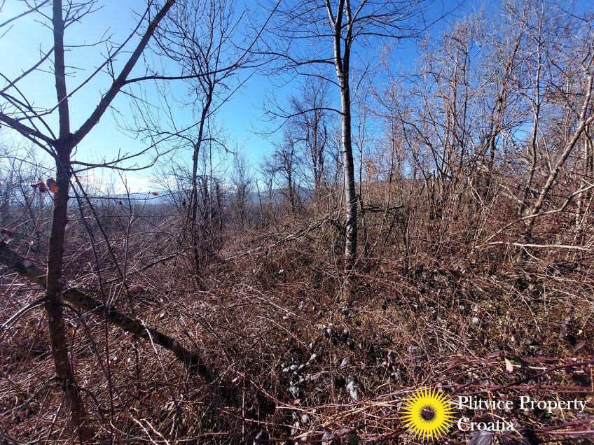 Flow_IMG_20240220_102754_01_889