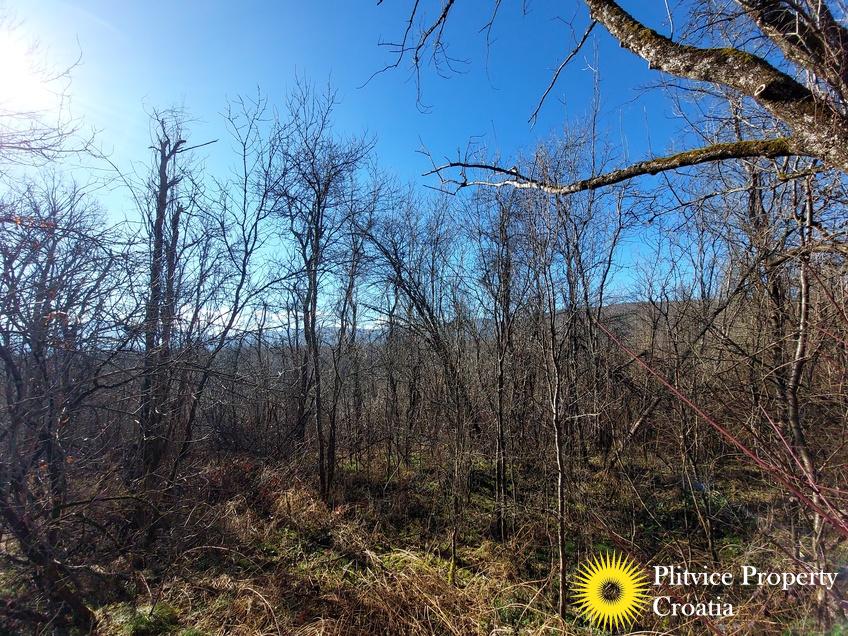 Flow_IMG_20240220_102825_01_890