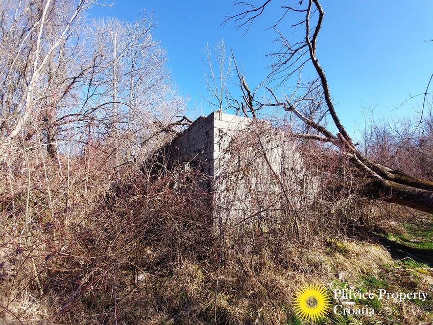 Flow_IMG_20240220_102832_01_891