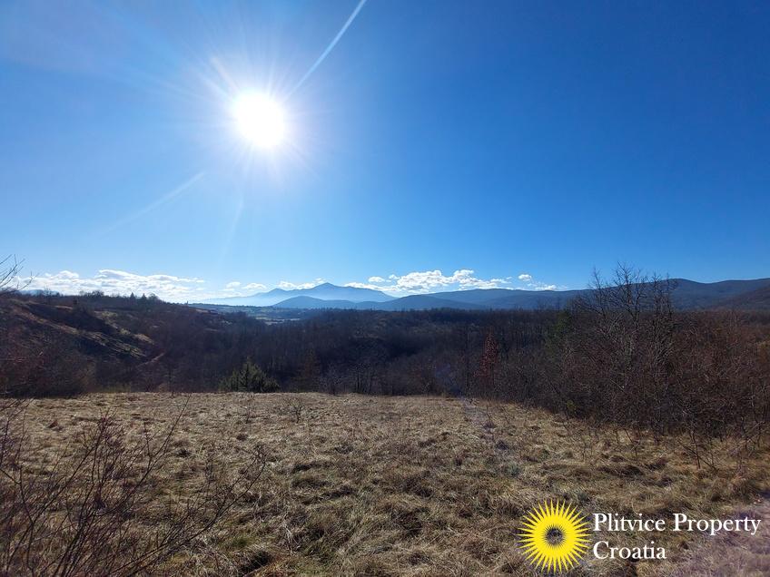 Flow_IMG_20240220_103529_01_892