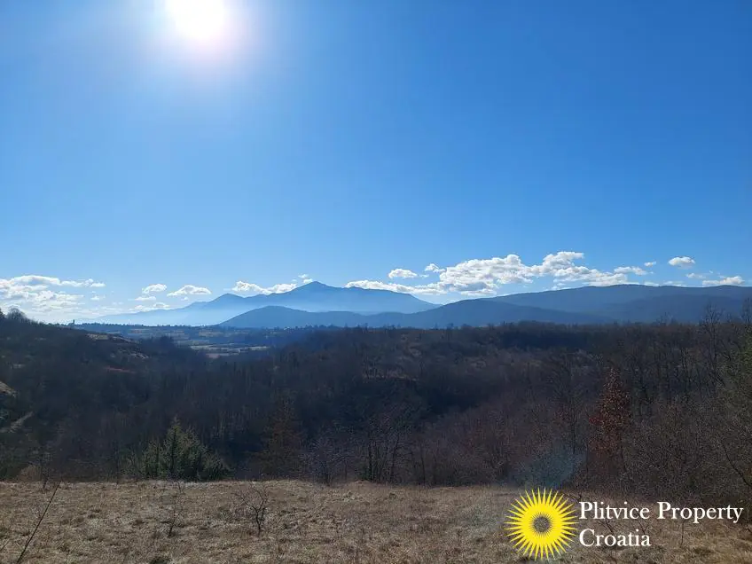 Flow_IMG_20240220_103541_01_893