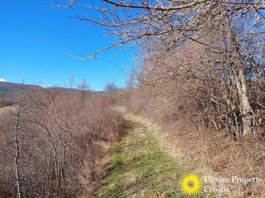 Flow_IMG_20240220_103627_01_894