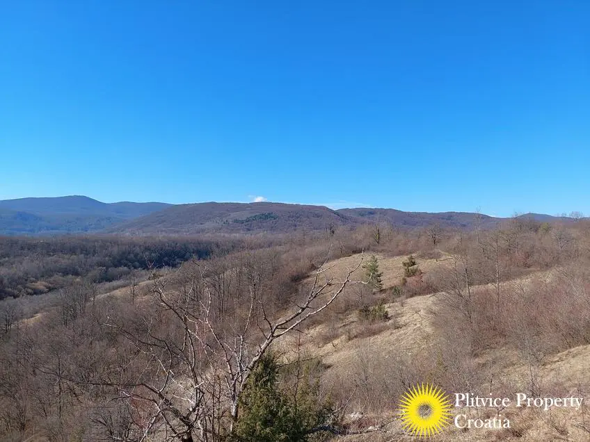 Flow_IMG_20240220_103726_01_896