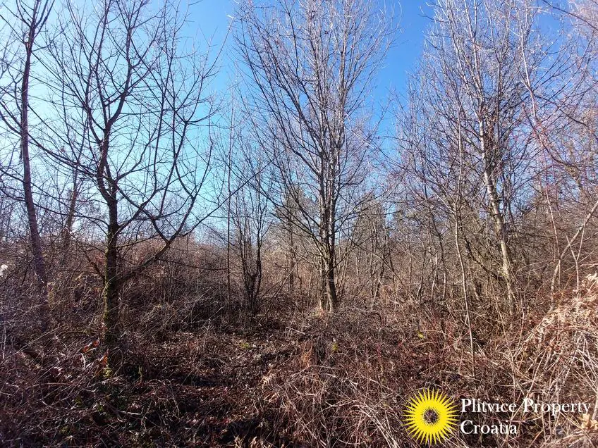 Flow_IMG_20240220_104657_01_898