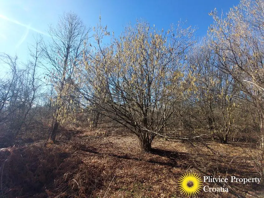 Flow_IMG_20240220_104729_01_900