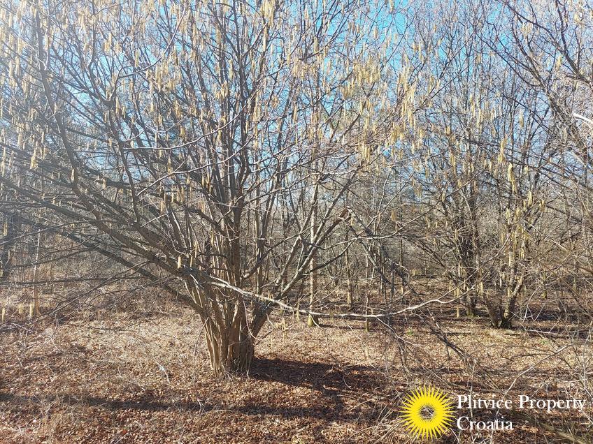 Flow_IMG_20240220_104737_01_901