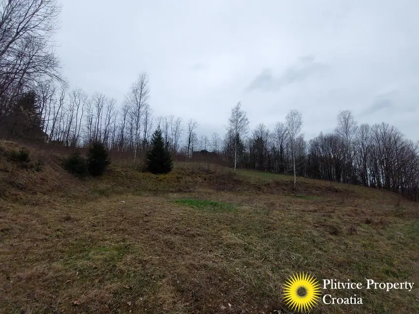 Flow_IMG_20240306_110121_01_131