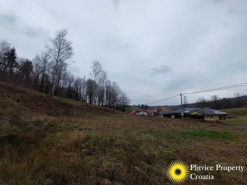 Flow_IMG_20240306_110206_01_133