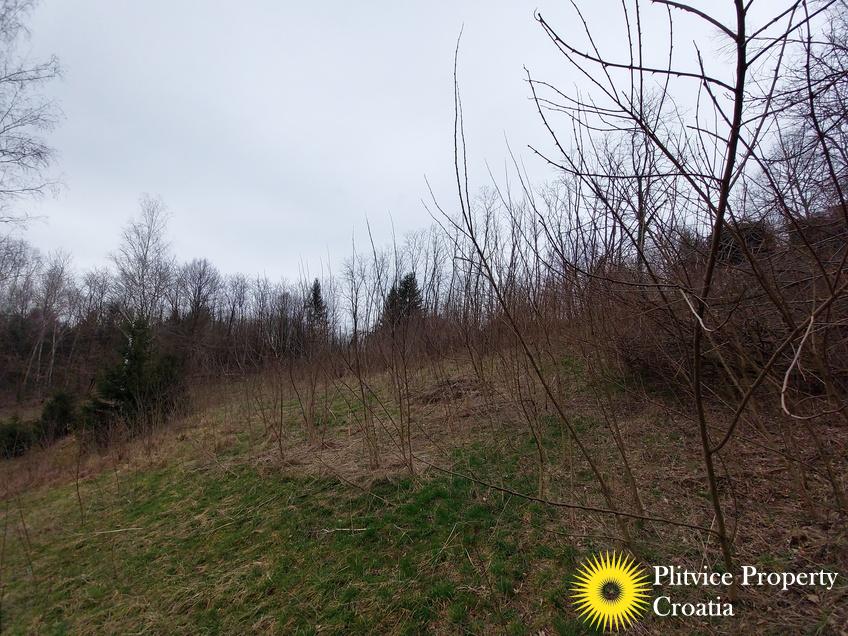 Flow_IMG_20240306_110327_01_136