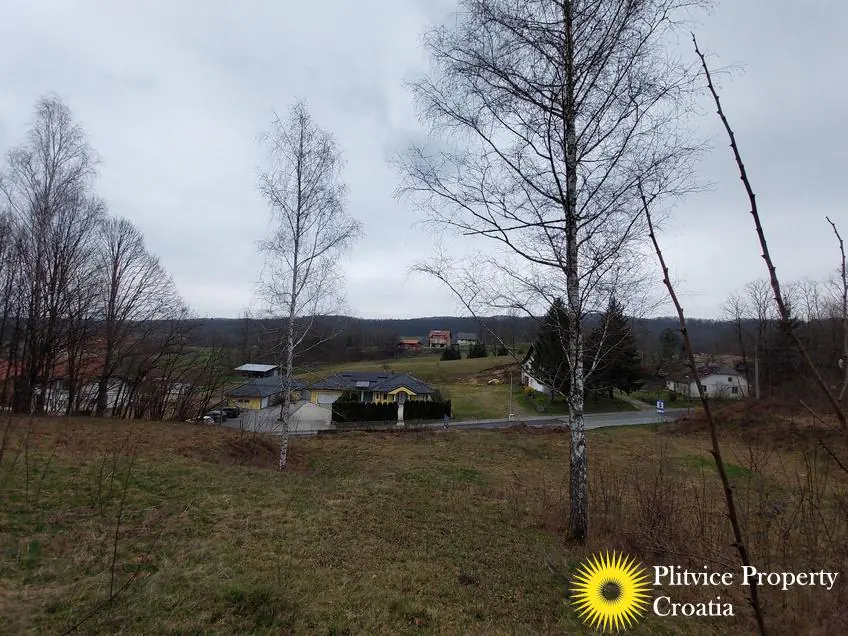 Flow_IMG_20240306_110344_01_137