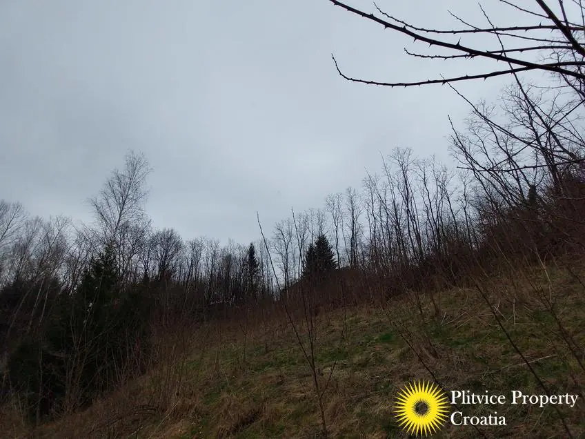 Flow_IMG_20240306_110357_01_139