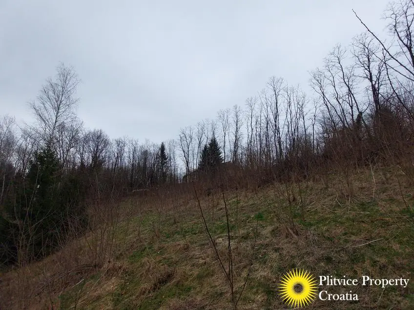 Flow_IMG_20240306_110400_01_140