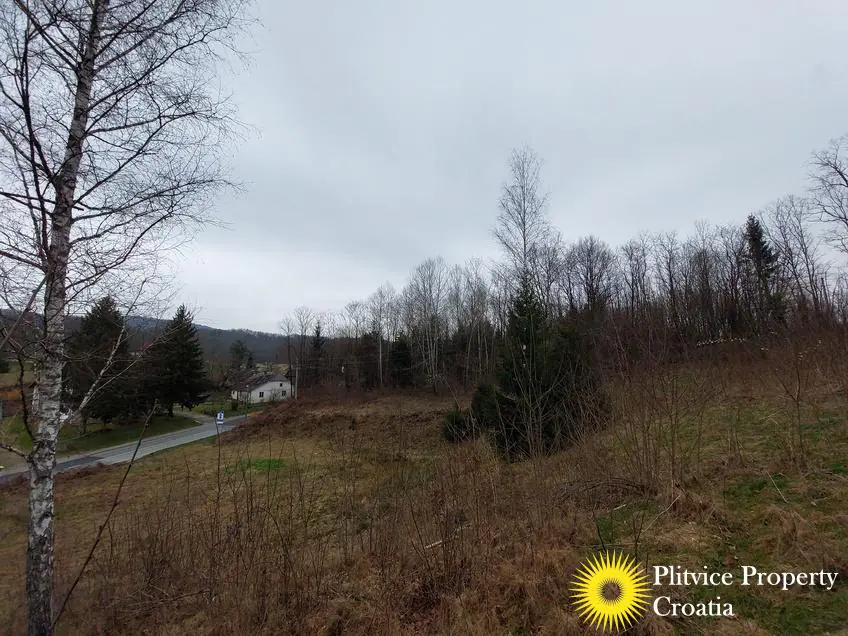 Flow_IMG_20240306_110404_01_141