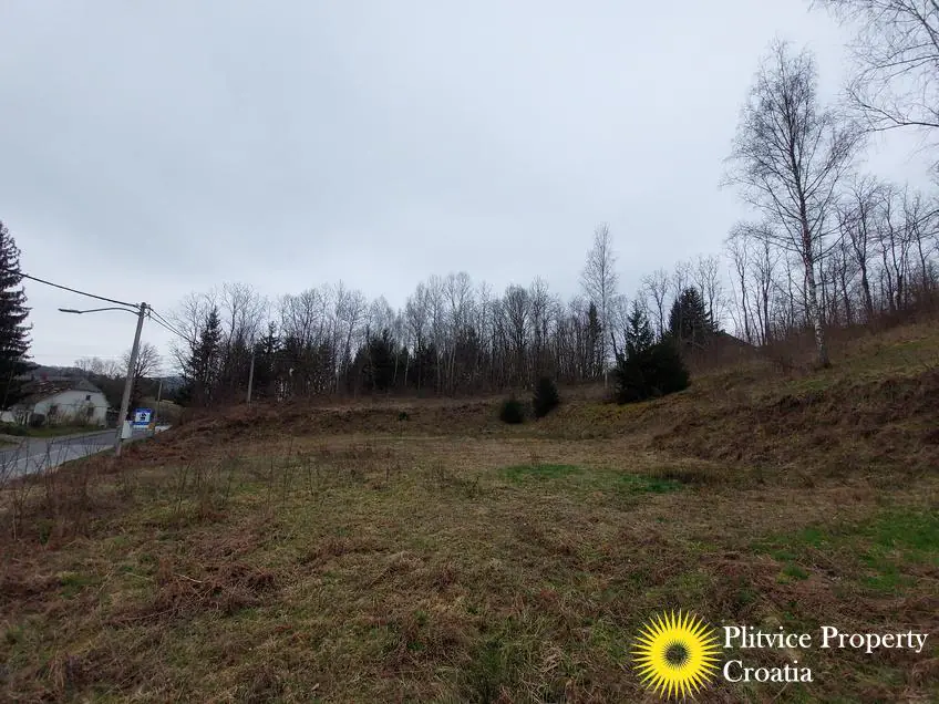 Flow_IMG_20240306_110458_01_144