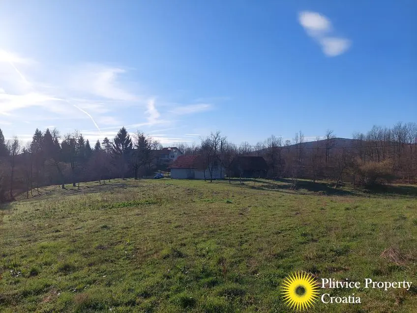 Flow_IMG_20240315_080003_01_256